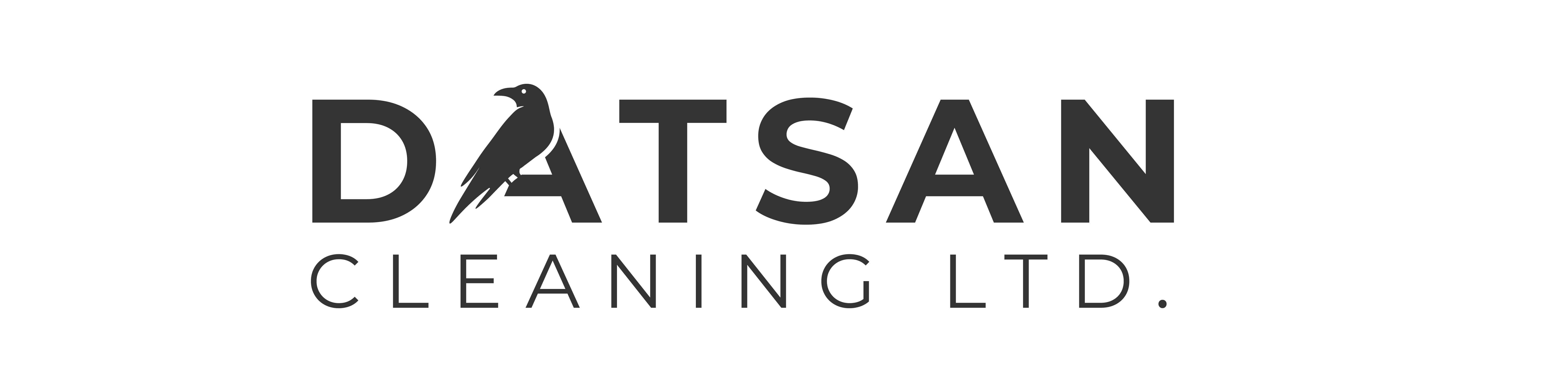 Datsan Cleaning Logo