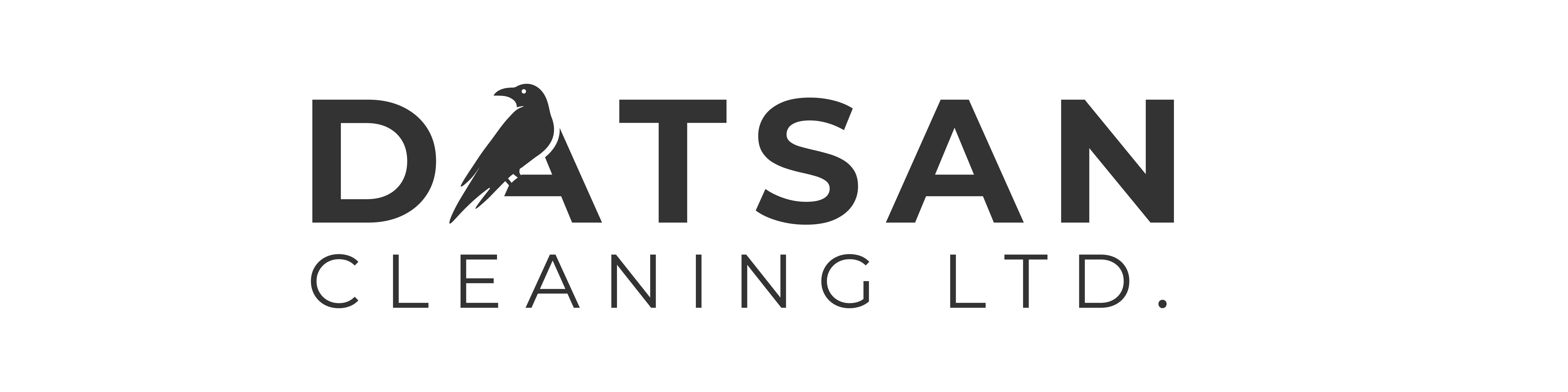 Datsan logo